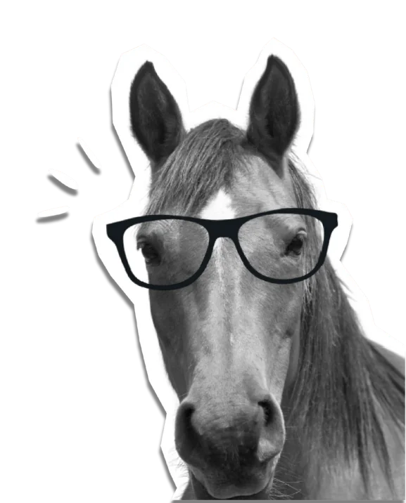 Ed the horse